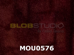 MOU0576.jpg