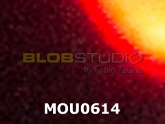 MOU0614.jpg