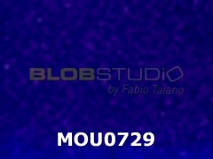 MOU0729.jpg