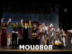 MOU0808.jpg